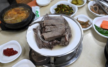 Người phản đối cấm thịt chó ở Hàn Quốc nói ‘heo, bò cũng là sinh vật’