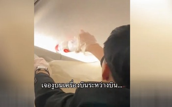 Rắn bò trên ngăn hành lý giữa chuyến bay ở Thái Lan
