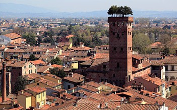 Khám phá thành phố Lucca bình yên, xinh đẹp của Ý