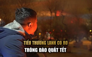 Tiểu thương co ro trên vỉa hè Hà Nội, thức xuyên đêm canh đào, quất tết