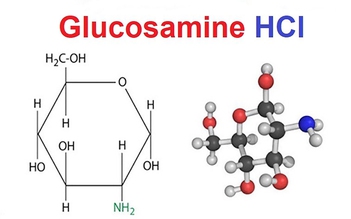 Glucosamine HCl là gì? Vì sao được sử dụng trong các sản phẩm chăm sóc da?