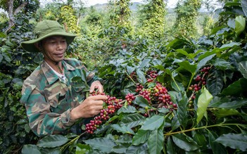 Cà phê Việt 'vẽ' lại thị trường thế giới