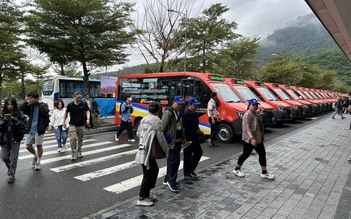 Đà Nẵng: Phát triển hệ thống xe buýt nhằm kiềm chế hoạt động vận tải trá hình