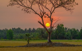 Bà Bảy bán tạp hóa - Truyện ngắn dự thi của Huỳnh Thị Hằng Nga