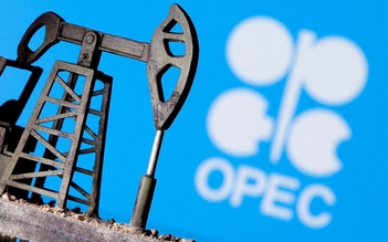 Giá xăng dầu hôm nay 15.10.2024: OPEC hạ dự báo, dầu giảm mạnh