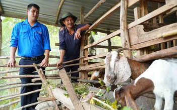 Chàng trai giúp thanh niên nuôi dê, cá hô và trồng chanh để thoát nghèo