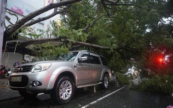 Bão Trà Mi: Đà Nẵng mưa lớn, gió mạnh khiến cây xanh ngã đổ hàng loạt