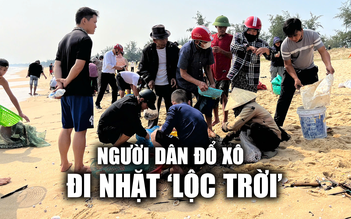 Người dân đổ xô đi nhặt ‘ lộc trời’ sau bão số 6