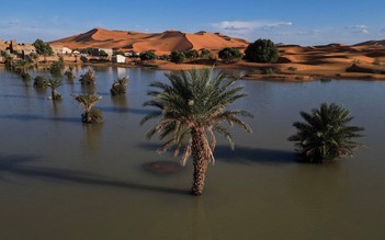 Sa mạc Sahara ngập lụt