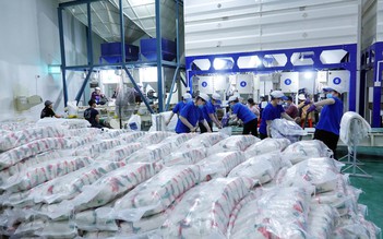 Mỹ dự báo xuất khẩu gạo Việt Nam đạt 9 triệu tấn