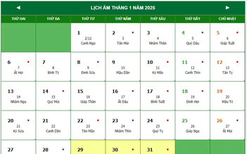 Năm 2025 có 30 Tết không?