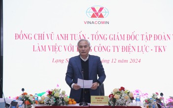 Điện lực TKV đặt mục tiêu doanh thu 13.297 tỉ đồng năm 2025