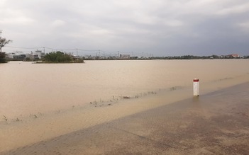 Mưa lớn kéo dài, nông dân Bình Định lo không có rau bán trong dịp tết