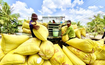 Xuất khẩu gạo lập kỷ lục cả lượng và giá