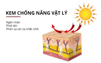 Top 10 kem chống nắng vật lý bảo vệ da tối ưu mà không tạo vệt trắng