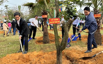 Tết trồng cây: Phủ xanh các khu dân cư mới ở tây bắc Đà Nẵng