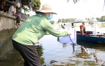 Người dân TP.HCM thả cá chép ngày cúng ông Táo 23 tháng chạp