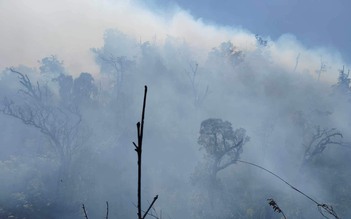 Cháy rừng ở Sa Pa tiếp tục lan rộng, 550 người tham gia chữa cháy