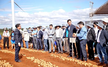 Hỗ trợ trồng khoai tây bền vững, Syngenta giúp nông dân lãi lớn