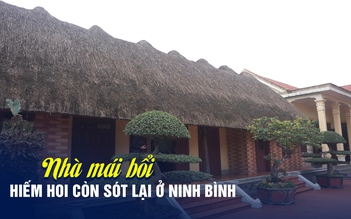 Chiêm ngưỡng ngôi nhà mái bổi tuyệt đẹp hiếm hoi còn sót lại ở Ninh Bình