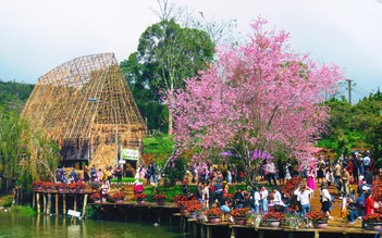 ‘Đón xuân này, tôi nhớ xuân xưa’