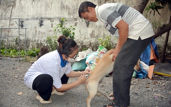 Cấp bách phòng chống bệnh dại