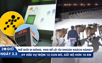 Xem nhanh 20h ngày 2.3: Hy hữu vụ dắt trộm bò 10 km giữa đêm | Lễ cưới xa hoa của con trai tỉ phú