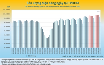 TP.HCM: Tiêu thụ điện đã có ngày vượt mức kỷ lục của năm 2023