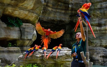 Những vườn thú được nhiều du khách đến trải nghiệm tại Singapore