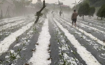 Mưa đá trắng trời tại Sơn La