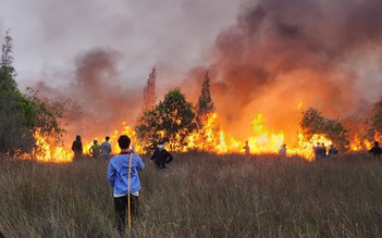 Khống chế hoàn toàn vụ cháy rừng phòng hộ ở Quảng Bình
