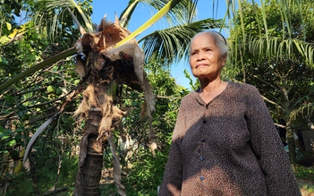 Bến Tre: Người dân 'tố' cơ sở sản xuất củ hũ dừa gây ô nhiễm