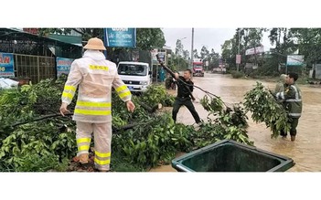 Lâm Đồng: Mưa lớn kèm gió giật làm tốc 11 mái nhà, gãy hàng chục cây xanh