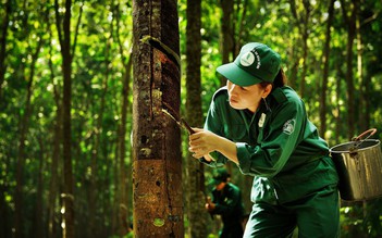 Đảng bộ VRG góp sức xây dựng nông thôn mới, giữ vững an ninh quốc phòng