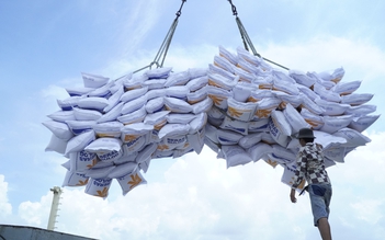 Sau vụ đại hạ giá, gạo Việt giảm 6 USD/tấn