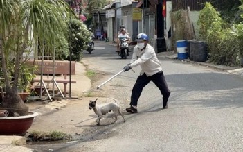 Bệnh dại đang ‘nóng’, Đắk Nông chỉ đạo các địa phương thành lập đội bắt chó, mèo