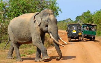 Những địa điểm 'dễ ghiền' khi du lịch tại Sri Lanka