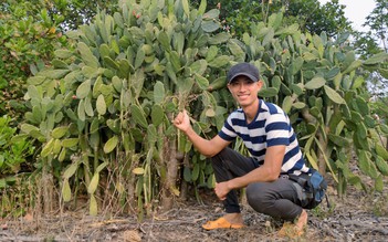 Chàng trai biến xương rồng tai thỏ thành thực phẩm