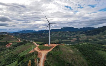 Đề nghị thanh tra toàn diện dự án điện gió lấn chiếm hơn 15 ha đất rừng
