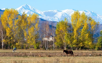 Những khu bảo tồn thiên nhiên và công viên quốc gia tuyệt đẹp tại Kyrgyzstan