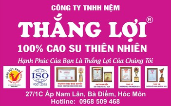 Mua nệm Thắng Lợi chính hãng ở đâu?