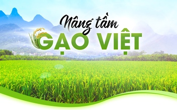 Nâng tầm gạo Việt