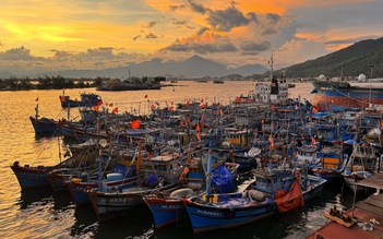 Ứng phó áp thấp nhiệt đới: Đà Nẵng kêu gọi tàu thuyền khẩn trương vào bờ