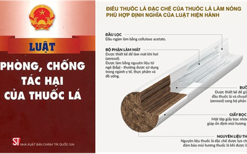 Quốc tế đánh giá mức độ độc hại của thuốc lá làm nóng đến đâu?