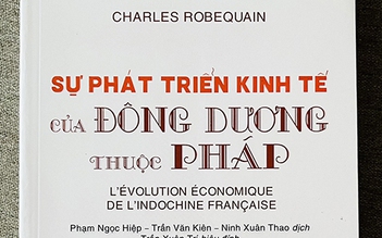 Việt Nam xưa qua 'Sự phát triển kinh tế của Đông Dương thuộc Pháp'