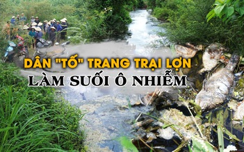 Dân ‘tố’ trang trại lợn làm nước chuyển đỏ, cá chết la liệt