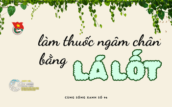 Cùng sống xanh số 96: Mắc chứng lạnh người, phát hiện công dụng đặc biệt của lá lốt