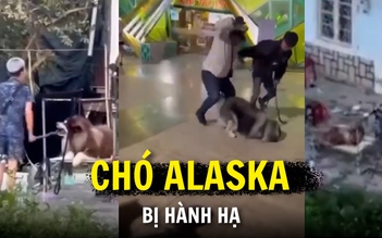 Công an vào cuộc vụ chó Alaska bị hành hạ ở Đà Lạt