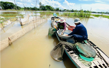 Nhiều bất ngờ về nhịp lũ sông Mekong đầu mùa