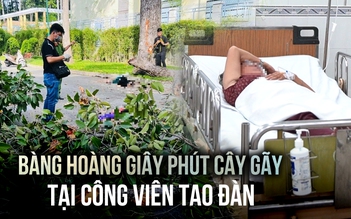 Nạn nhân kể lại giây phút thảm kịch cây gãy tại công viên Tao Đàn